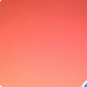 Meet your Posher, Gon